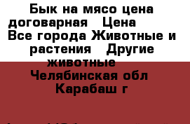 Бык на мясо цена договарная › Цена ­ 300 - Все города Животные и растения » Другие животные   . Челябинская обл.,Карабаш г.